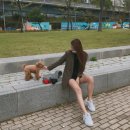 펫데이트 이미지