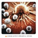 제이자나