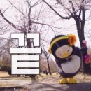 주식회사 라움