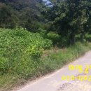 금동농장 이미지