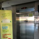 과천여자고등학교 이미지