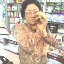 녹번동물병원 이미지