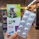 수플러스온누리약국 이미지