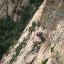 석이농장 이미지