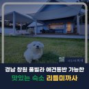 리틀미까사 이미지