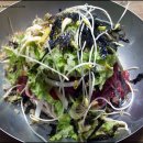 춘천새술막막국수 이미지