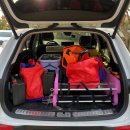 달빛조개 이미지