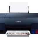 G3923 이미지