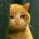 씨유 우정혁신 2호점 | 2025 4-6월 : 지난 3개월을 기록해요