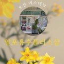 알포유수테라피
