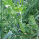 운향농장 이미지