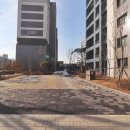 나루초등학교 이미지