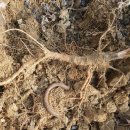 관리농장 이미지