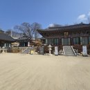 일상의 쉼표 | 부산- 밀양 시외 관광 후기 용궁사 산책길과 전망대, 일상의 쉼표가 되는 힐링 코스