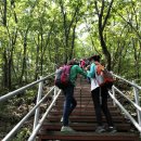 하늘다리 이미지