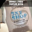 스카이샵 | 대한항공 스카이샵 기내면세점 후기, 12월 역대급 메가딜 혜택까지