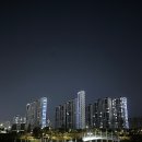 허그포레스트