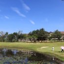 챔피온골프장 이미지