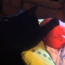 올젠테크놀로지 이미지