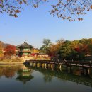 향원정 - 마포구 양화로7길 28 | 향원정