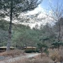 한우네 | [경북여행]가성비 독채 촌캉스를 즐길수 있는 일월산한우네 노루귀 2박3일 후기