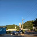 장항동횟집 | 남해 장항동횟집 내돈내산, 재방문은 고민되는 솔직후기