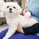 두암한방병원 이미지