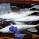 바글