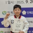 강원태권도장 이미지