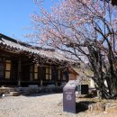남사-7 이미지