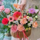 꽃눈개비플라워