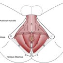 로그짐 올림픽공원점 이미지