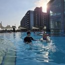 해비치리조트 | 제주 해비치 리조트 숙박 후기(객실, 조식, 수영장 솔직 리뷰)