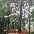 하의초등학교 병설유치원 이미지