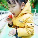 경석농장 이미지