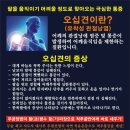 자작나무힐