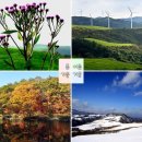 생동목장 이미지