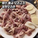 양산고기 | '정원오리촌' 양산오리고기 맛집, 청둥오리소금구이 후기