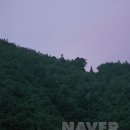 스님+며느리+강아지 이미지