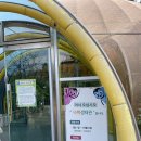 나비 | 아이와 함께 하는 주말나들이 나비공원 후기