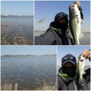 남양호 상류 이미지