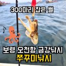 보령상상이룸센터 | 서해 쭈꾸미낚시 시즌 보령 오천항 금강낚시 예약 주차 준비물 초보 솔직 후기