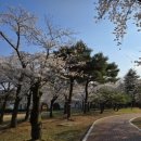 한화호텔&리조트경주사우나 | 경주 - 경주 숙소 추천, 온천수 호텔, 한화리조트 경주 에톤 숙박 후기