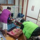 북가좌2동 주민센터 이미지