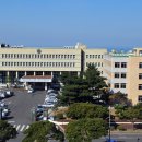 주도1 7교 이미지