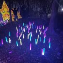 빛의 숲 이미지