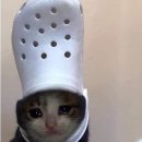 여주-0305 이미지