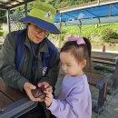 봉오초병설유치원 이미지