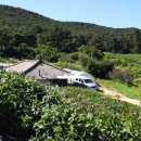 한솜농장 이미지