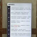더(THE)우아헤어 | 정자역미용실 아우드헤어 정자역점 웨딩염색 애쉬브라운+아윤채 프리미엄 클리닉 후기
